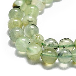 Prehnite Natural Prehnite Beads Strands, Round, Pale Green, 6mm, Hole: 1mm