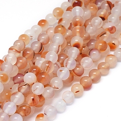 Agate Naturelle Pierre gemme agate naturelle, teints et chauffée, ronde, 8~8.5mm, Trou: 0.8mm, environ 48 pcs / brin, 15.16 pouces (38.5 cm)