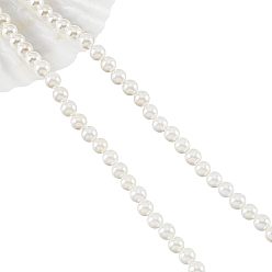 Seashell Color 3 Strands Natural Freshwater Shell Beads Strands, Butterfly, Seashell Color, 8x11x2.5~3mm, Hole: 1mm, about 35pcs/strand, 15~15.12 inch(38.1~38.4cm)