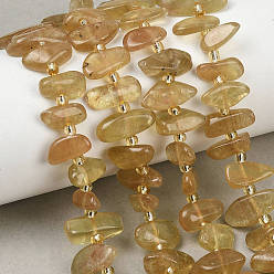 Желтый Натуральные желтые апатитовые бусины, самородки, с бисером, желтые, 6~17x3.5~8.5x1~6.5 мм, отверстие : 0.8 мм, около 51~63 шт / нитка, 15.35~16.73'' (39~42.5 см)
