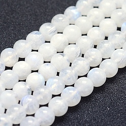 Rainbow Moonstone Natural Rainbow Moonstone Beads Strands, Grade AB+, Round, 6mm, Hole: 1mm, about 67pcs/strand, 15.7 inch(40cm)
