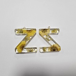 Letter Z Подвески из прозрачной эпоксидной смолы, подвески-буквы с петлями, Письмо Z, 42.5x35x7.5 мм, отверстие : 2 мм