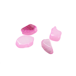 Pearl Pink Natural Freshwater Shell Beads, Shell Shards, Dyed, No Hole, Chip, Pearl Pink, 1~10x1~4x0.5~2mm