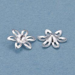 Посеребрённый Шапочки и конусы для бусин, латунные, 6-лепесток, цветок, 925 серебро покрытием, 7x6x1.5 мм