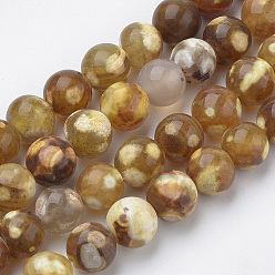 Fire Agate Natural Fire Crackle Agate Beads Strands, Dyed, Round, 8mm, Hole: 1mm, about 49pcs/strand, 16.3 inch