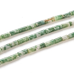 Камень с Зелеными Точками Натуральные зеленые пятна яшмовых нитей, колонка, 4~5x2.2 мм, отверстие : 0.8 мм, около 85~99 шт / нитка, 15.75 дюйм (40 см)