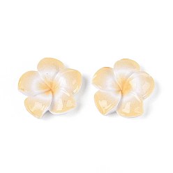 Белый Навахо Кабошоны из непрозрачной смолы в виде цветка плюмерии, навахо белый, 29~30x29~30x7~8 мм