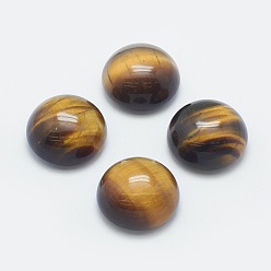 Tiger Eye Natural Tiger Eye Cabochons, Convex, Half Round, 20x10mm