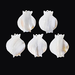 Морская Ракушка Естественных пресноводных оболочки большие кулоны, подвески для ваз, цвет морской раковины, 57.5~60x46~47x2.5~4 мм, отверстие : 2 мм