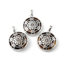 Тигровый глаз Природных тигровый глаз подвески, с реечной обшивкой латунными выводами, без кадмия и без свинца, плоский круглый со звездными подвесками, 32~32.5x27.5~28x7 мм, отверстие : 8.5x5 мм