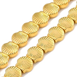 с Золотистым Покрытием Гальванические нити из синтетических немагнитных гематитовых бусин, формы раковины, с золотым покрытием, 7.5x8.5x3.5 мм, отверстие : 1 мм, около 52 шт / нитка, 16.14 дюйм (41 см)