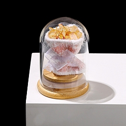 Цитрин Украшения для витрины из арочной стеклянной банки с букетом натуральных цитринов внутри, подарок бутылке желаний для женщины, 52x76 мм