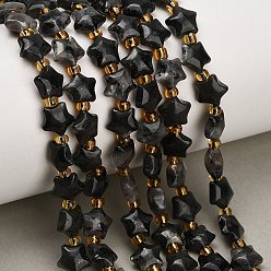 Larvikite Натуральные нити бус из ларвикита, толстая звезда, с бисером, 7~8x7~8x4 мм, отверстие : 1 мм, около 45 шт / нитка, 14.96'' (38 см)