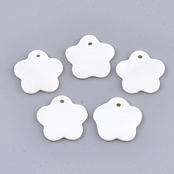 Пресноводная Раковина Подвески из пресноводных оболочек, цветок, 18x18~19x2 мм, отверстие : 1.5 мм