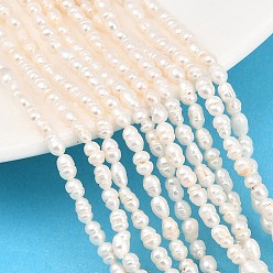 Бежевый Нити из натурального культивированного пресноводного жемчуга, рис, класс 3, бежевые, 3~4 мм, отверстие : 0.5 мм, около 72~73 шт / нитка, 13.31'' (33.8 см) ~ 13.43'' (34.1 см)
