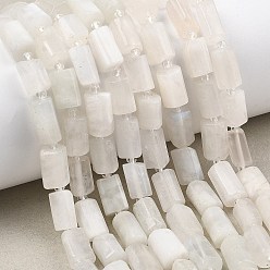 Rainbow Moonstone Бусины из натурального радужного лунного камня, граненые, колонка, с бисером, 12x8 мм, отверстие : 1 мм, около 15 шт / нитка, 7.68~7.87'' (19.5~20 см)