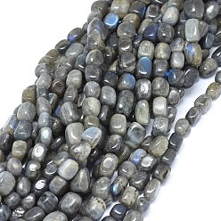 Labradorite Natural Labradorite Beads Strands, Cuboid, 9~17x7~11mm, Hole: 0.8mm, about 30~35pcs/strand, 15.3 inch
