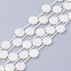 Seashell Color Natural White Shell Beads, Mother of Pearl Shell Beads, Shell Shaped, Seashell Color, 12x12x3mm, Hole: 0.8~1mm