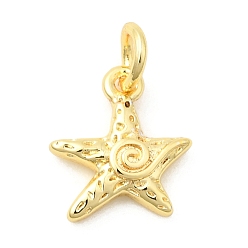 Настоящее золото 18K Латунь прелести, морская звезда, долговечный, стойки покрытие, с целью перехода в кольце, реальный 18 k позолоченный, 11.5x10.5x2.5 мм, отверстие : 3.2 мм