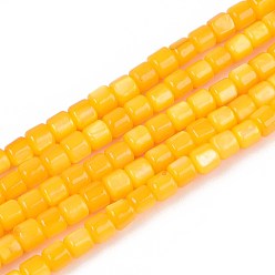 Золотистый Окрашенные естественных пресноводных стеклянные бусы нити, колонка, золотые, 2~4x3~4 мм, отверстие : 0.6 мм, около 113~114 шт / нитка, 14.76~14.96'' (37.5~38 см)