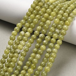 Светло-зеленый Коричневый Природный драгоценный камень, Тайвань нефрита, природная энергия камень целебная сила для изготовления ювелирных изделий, круглые, оливковый, 4 мм, отверстие : 0.8 мм, около 86~95 шт / нитка, 15~16 дюйм