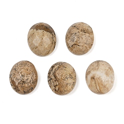 Пейзажный Джаспер Естественная картина яшма кабошоны, овальные, 12x10x5 мм