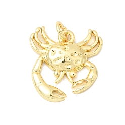 Золотой Латунные подвески, крабовые прелести, долговечный, без кадмия и без свинца, с целью перехода в кольце, золотые, 18.5x17x3 мм, отверстие : 3 мм