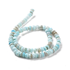 Light Sky Blue Natural Cultured Freshwater Shell Beads Strands, Dyed, Rondelle, Light Sky Blue, 6.5~7.5x2~6.5mm, Hole: 1mm, about 85pcs/strand, 14.88 inch(37.8cm)