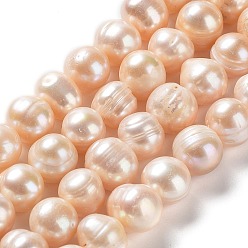 PeachPuff Natural Cultured Freshwater Pearl Beads Strands, Potato, Grade AB, PeachPuff, 10.5~12x9~11mm, Hole: 0.6mm, about 34pcs/strand, 14.17''(36cm)