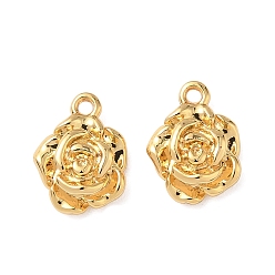 Настоящее золото 18K Латунные подвески, , без никеля , реальный 18 k позолоченный, 11x8.5x3.5 мм, отверстие : 1.2 мм