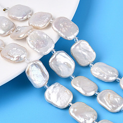 Coquillage De Mer 1 brins de perles de perles naturelles Keshi, perle de culture d'eau douce, perles baroques, rectangle, 19~32x12~22x3~10mm, Trou: 0.6mm, Environ 15~19 pcs/chapelet, 14.96~16.54 pouce (38~42 cm)