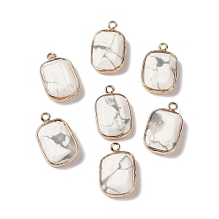 Howlite Natural Howlite Faceted Pendants, Golden Tone Brass Rectangle Charms, 19x11.5x4mm, Hole: 1.6mm