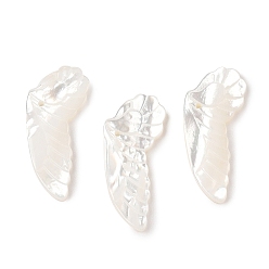 Белые Ракушки Резные подвески из натуральных белых ракушек, крылатые прелести, 25.5x11x3 мм, отверстие : 1 мм