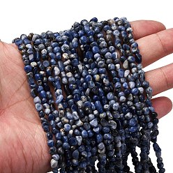 Содалитовое Природный содалит бисер нитей, самородки, 5~9x4~6x3~4.5 мм, отверстие : 0.7 мм, около 75~89 шт / нитка, 15.35'' (39 см) ~ 15.94'' (40.5 см)