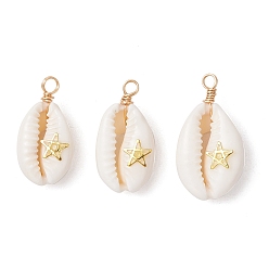 Звезда Подвески из натуральной ракушки каури, обмотанной медной проволокой, с латунными пластинами, золотые, звезда, 24~28x12~15.5x7~8.5 мм, отверстие : 2.6 мм