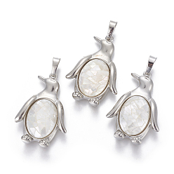 Белый Подвески из раковины, с латунной фурнитурой , пингвин, платина, белые, 34~35x24~25x5~8 мм, отверстие : 8x5 мм