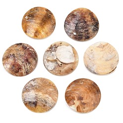 Перу Подвески-соединители из натуральной ракушки Акойя, Перу, 20~20.5x2~5 мм, отверстие : 0.9~1.5 мм