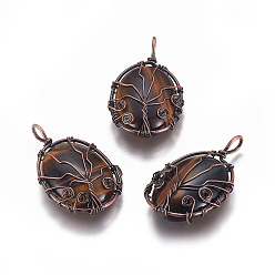Тигровый глаз Природных тигровый глаз подвески, с латунной фурнитурой , овальные с деревом, Красная медь, 43.5x26x9 мм, отверстие : 5.5x4 мм