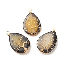 Темный Хаки Природные подвески агат треск, окрашенные, с экологически чистой медной проволокой золотого тона, обернутой, слезинка с дерева, Темный хаки, 49~52x31~32x9~11 мм, отверстие : 3.2~3.8 мм