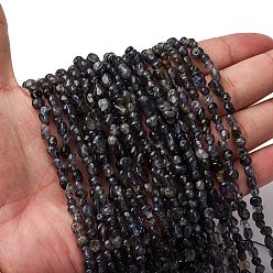 Айолит Нити из натурального иолита / кордиерита / дихроита, самородки, 5~9x4~6x3~4.5 мм, отверстие : 0.7 мм, около 75~89 шт / нитка, 15.35'' (39 см) ~ 15.94'' (40.5 см)