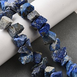 Ляпис-Лазурь Нитки бусины из натурального ляписа-лазури, необработанный грубый камень, самородки, 7~25x8~24.5x5~16 мм, отверстие : 0.9~1 мм, около 14~28 шт / нитка, 7.48''~8.43'' (19~21.4 см)