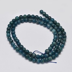 Apatite Round Natural Apatite Beads Strands, Grade AB+, 4mm, Hole: 1mm, about 100pcs/strand, 15.7 inch