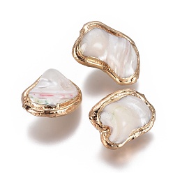 Дригие Морские Ракушки Стеклянные бусы, край позолоченный, самородки, 23.5~27.5x17.5~18.5x12.5~15.5 мм, отверстие : 0.8 мм