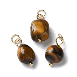 Тигровый глаз Природных тигровый глаз подвески, Подвески-наггетсы с 304 кольцами из нержавеющей стали, золотые, 16.5~18x9.5~10.5x6.5~7.5 мм, отверстие : 3.5 мм