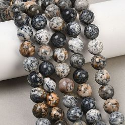 Африканский Опал Нити из натуральных черных африканских опалов, гладкий круглый, 10 мм, отверстие : 1 мм, около 38 шт / нитка, 15.16'' (38.5 см)