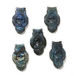 Labradorite Halloween Natural Labradorite Cabochons, Owl with Skull Pattern, 52.5x31.5~32x9~16mm