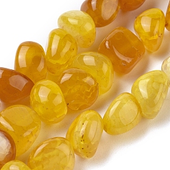 Золотистый Природный агат бисер нитей, упавший камень, окрашенная и подогревом, самородки, золотые, 8~16x9~13x9~12 мм, отверстие : 1.4 мм, около 36~42 шт / нитка, 14.96 дюйм (38 см)