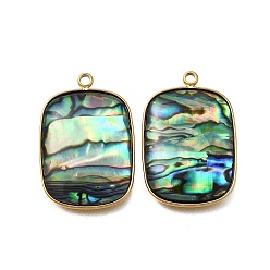 Rectangle 304 подвески из натуральной ракушки пауа из нержавеющей стали, ионное покрытие (ip), реальный 18 k позолоченный, прямоугольные, 25x17x4 мм, отверстие : 1.5 мм