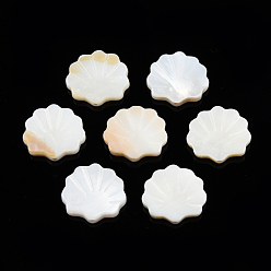 Creamy White Natural Freshwater Shell Beads, Scallop Shape, Creamy White, 15x15.5x2.5mm, Hole: 1mm