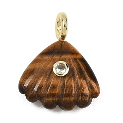 Тигровый глаз Резные подвески из натурального тигрового глаза, подвески в форме ракушки с кубическим цирконием и латунной фурнитурой, золотые, стойки покрытие, 28x22x8 мм, отверстие : 4 мм